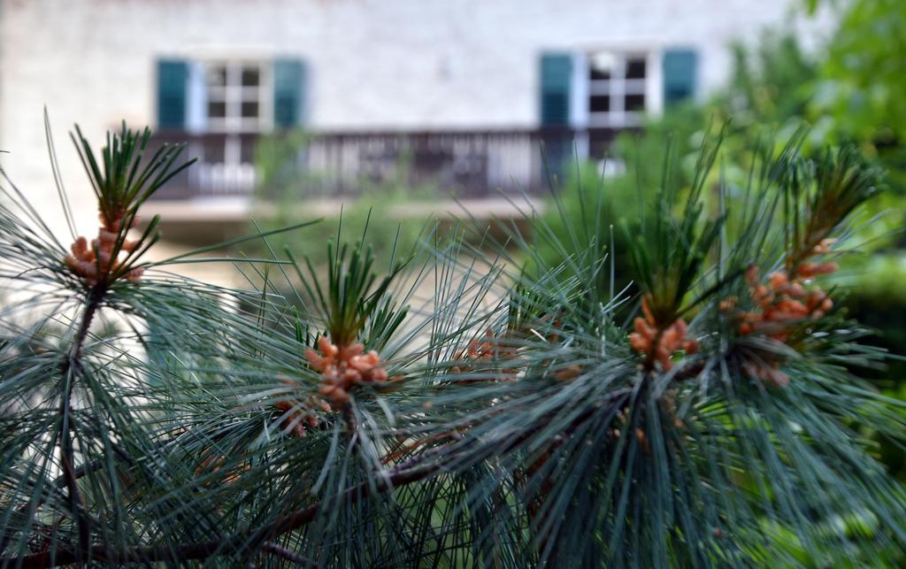 Apartment Im Garten 9 Gargazzone Εξωτερικό φωτογραφία
